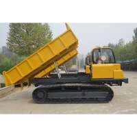 Gasoline engine 10 ton load capacity mini crawler dumper with loader